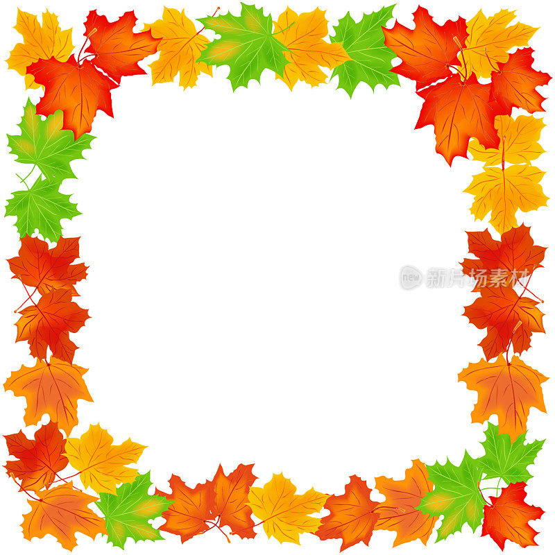 秋叶的框架。秋高气爽的枫叶。黄红的秋叶孤立在白色的背景上。页面的装饰框架。向量