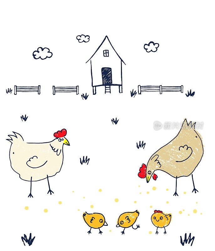 矢量插图手绘与钢笔和彩色蜡笔有趣的母鸡和鸡在院子里。又蠢又酷的涂鸦鸟在鸡舍附近散步。草图。牛繁殖。家禽养殖。