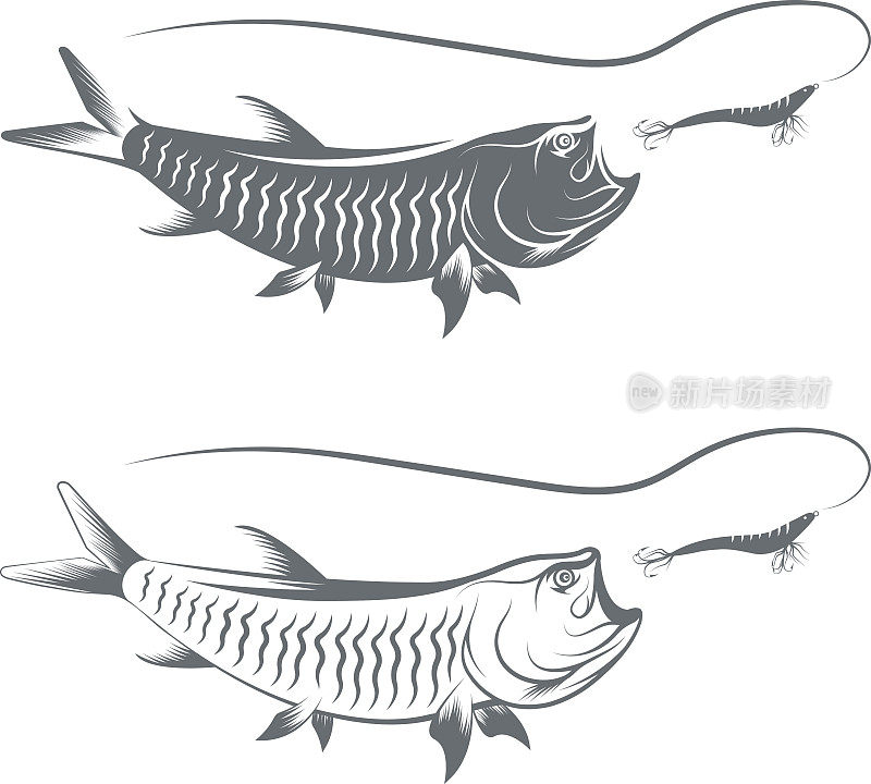 海鲢和鱼饵模板矢量插图