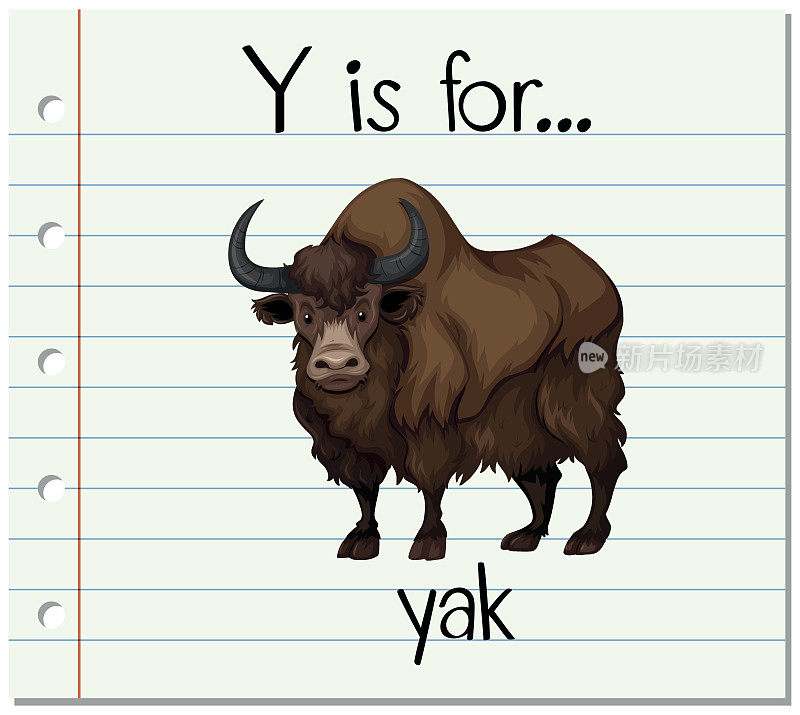 识字卡片上的字母Y代表牦牛