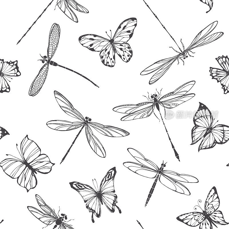 蜻蜓和蝴蝶。无缝模式。黑白矢量插图。