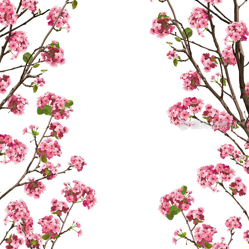 粉色樱花樱花与复制空间，矢量插图