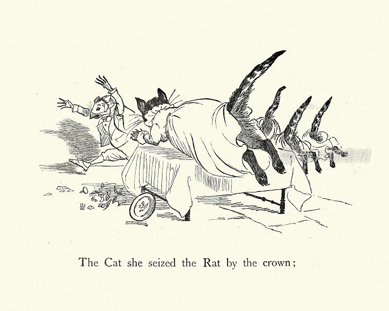 青蛙，童谣，猫她抓住了老鼠的王冠