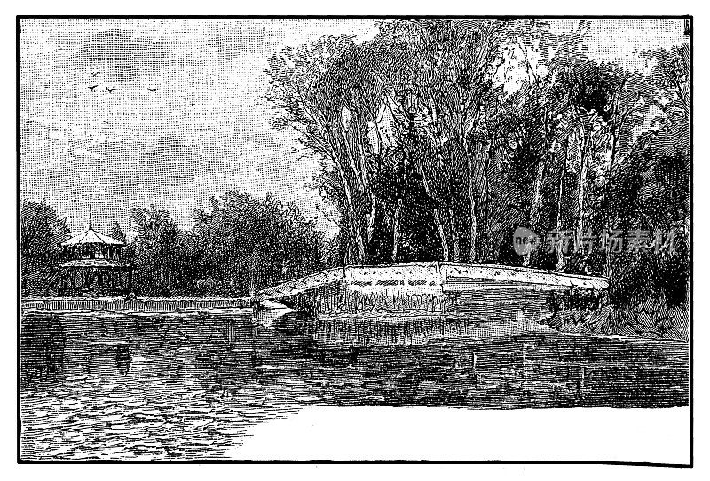 在拉克森堡公园的鲤鱼池
