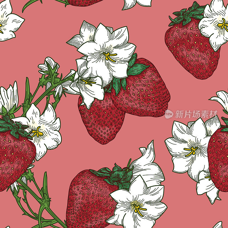 夏季草莓和铁线莲无缝花图案