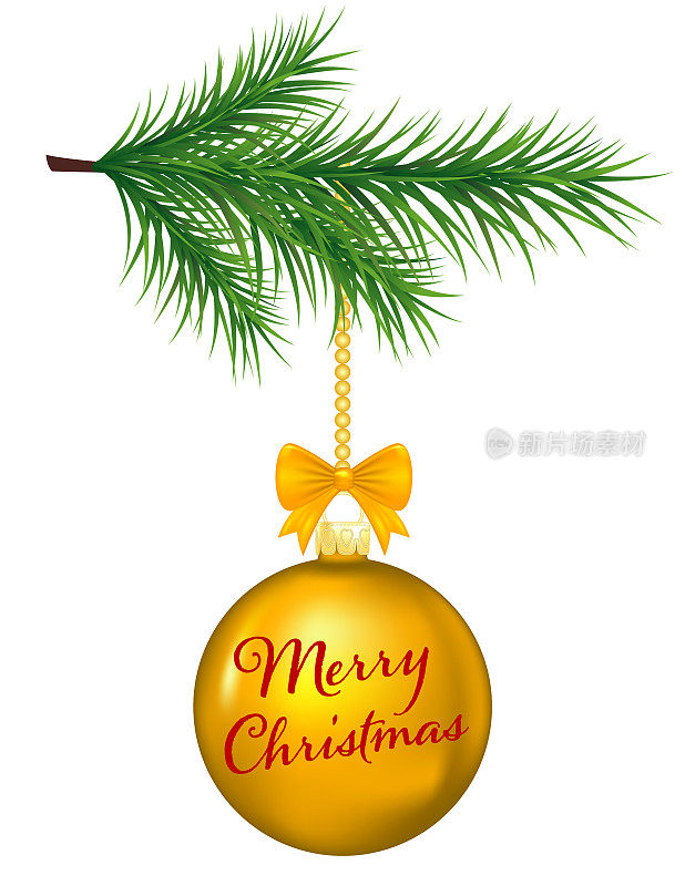 挂在透明底座上的常青树树枝上闪亮的圣诞装饰品