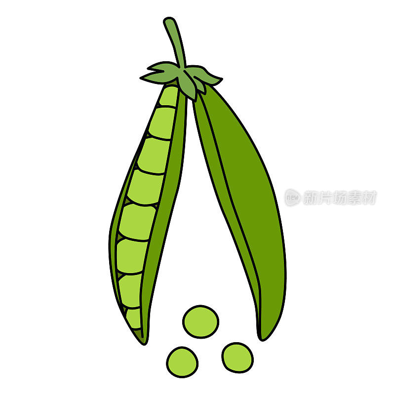 孤立在白色上的豆荚豌豆的卡通矢量插图。煮熟的蔬菜，维生素的来源