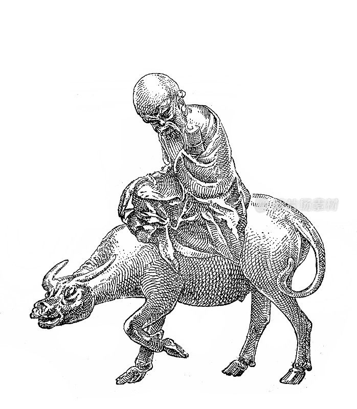 根据中国的传说，老子(是中国古代的哲学家和作家)骑着水牛离开中国前往西方