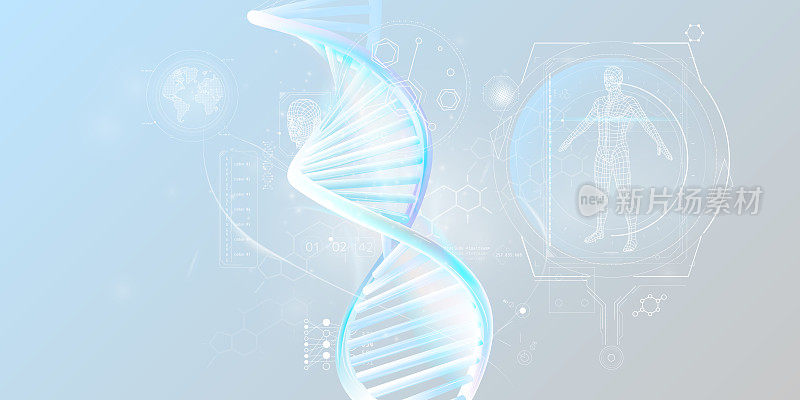 DNA双螺旋结构和人类研究信息图表数据。