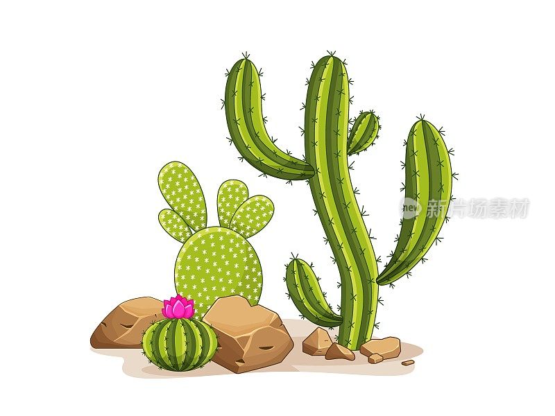 仙人掌带着刺和石头。墨西哥绿色植物，有刺和岩石。沙漠和南部景观的元素。卡通平面矢量插图。孤立的白色背景。