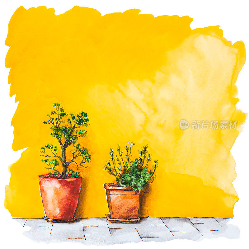 房子黄色立面的水彩画，带有装饰性的花朵。