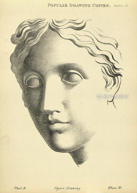 素描人的脸，古典雕像，罗马希腊青年，维多利亚艺术人物的复制19世纪