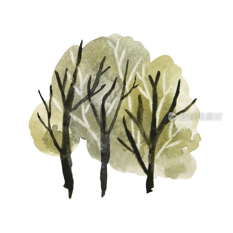 水彩抽象绿色和黑色的树或灌木孤立在白色背景。创意夏季或秋季剪纸贴纸卡，素描本。手绘森林对象墙纸，包装
