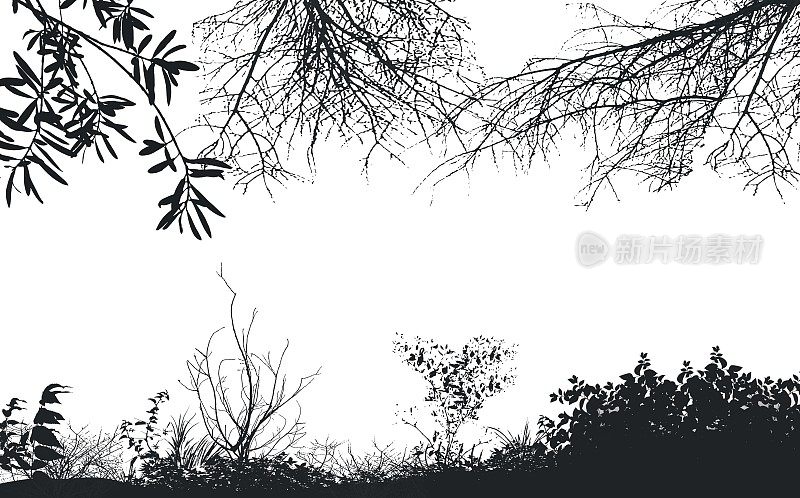 矢量背景逼真的树枝，一个剪影的裸露的干小树枝，灌木和枯萎的秋天自然。