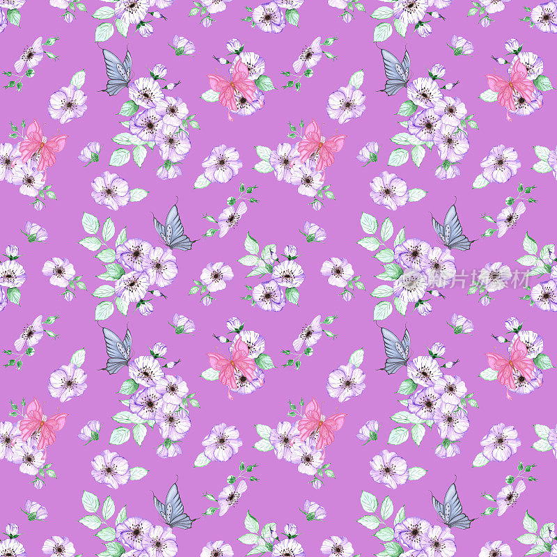 手绘海葵和蝴蝶无缝图案。水彩紫色的花朵与蓝色和粉红色的蝴蝶在粉红色的背景。剪贴簿，海报，标签，横幅，纺织品。