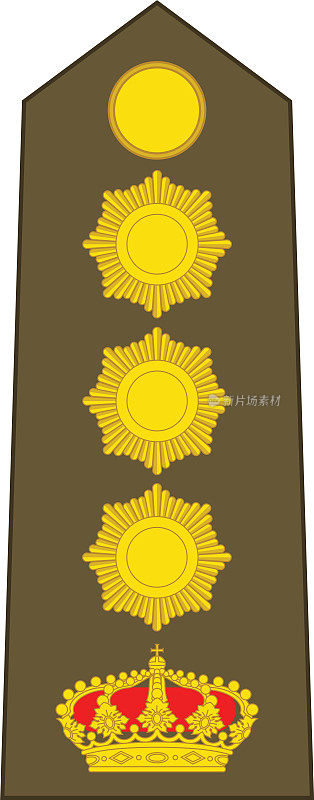 卢森堡上校的肩垫军官徽章