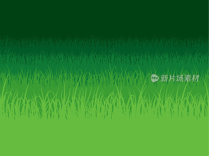 草地的背景。田里长满了草。草坪。