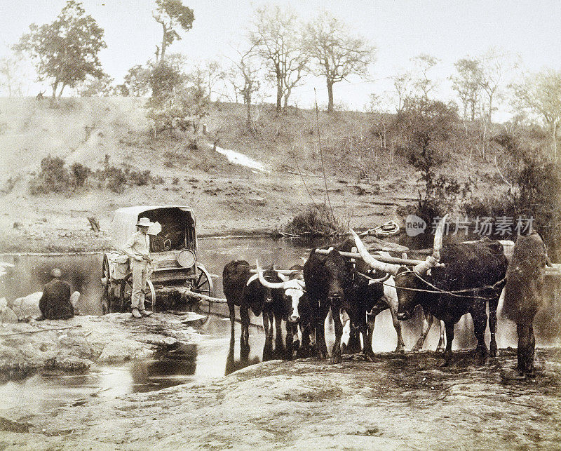 赞比西河渡口，1892年