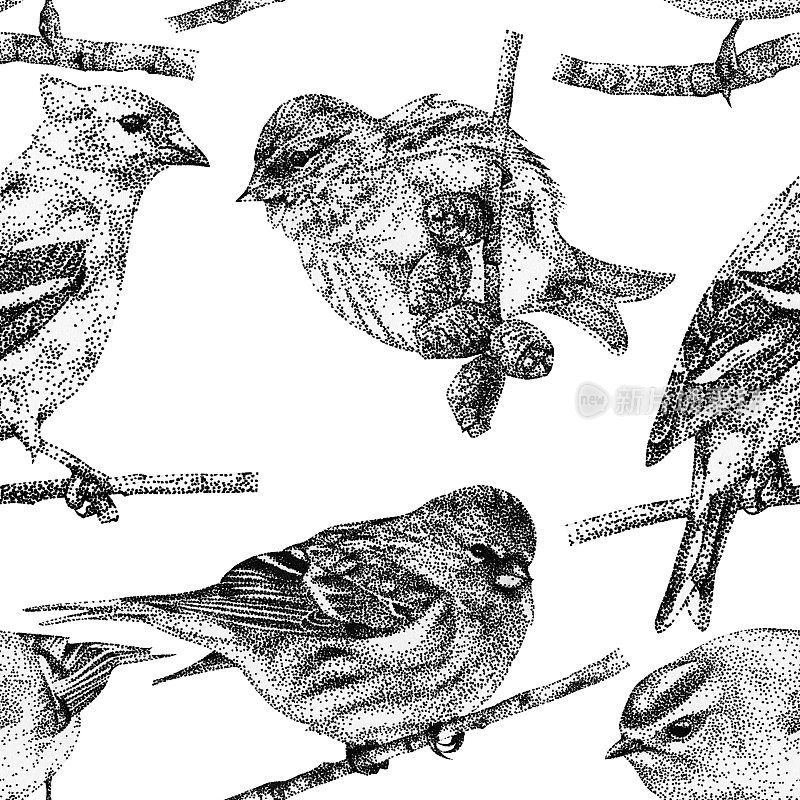 用墨水手绘不同鸟的无缝图案