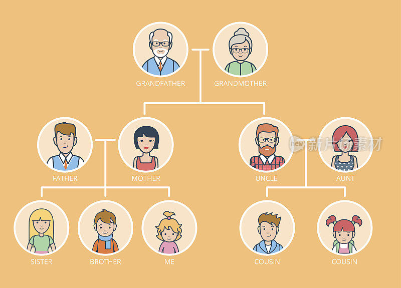 线性平坦族树信息图模板矢量插图。用黄色背景线连接祖父母，父母，孩子。家谱的概念。