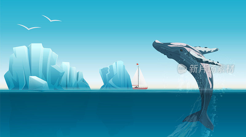 卡片模板与鲸鱼跳跃下的蓝色海洋表面附近的冰山。冬季北极矢量图。冰岛。