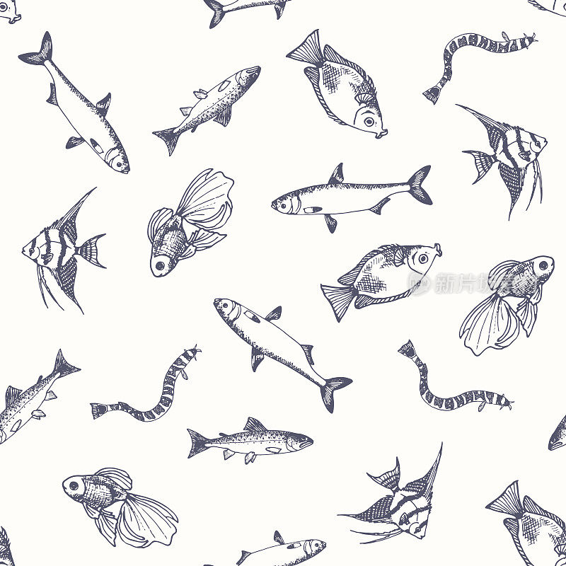 鱼的模式。素描的鲑鱼。手绘矢量插图。矢量海洋和海洋生物的海鲜菜单设计。