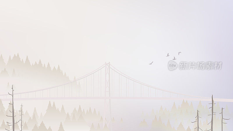 高桥在云雾林山风景景观
