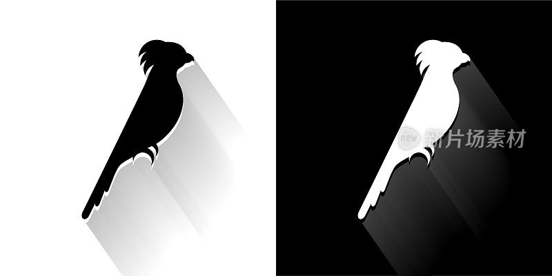 长影鹦鹉黑白图标