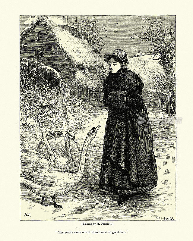 年轻女子和一群天鹅，维多利亚，19世纪