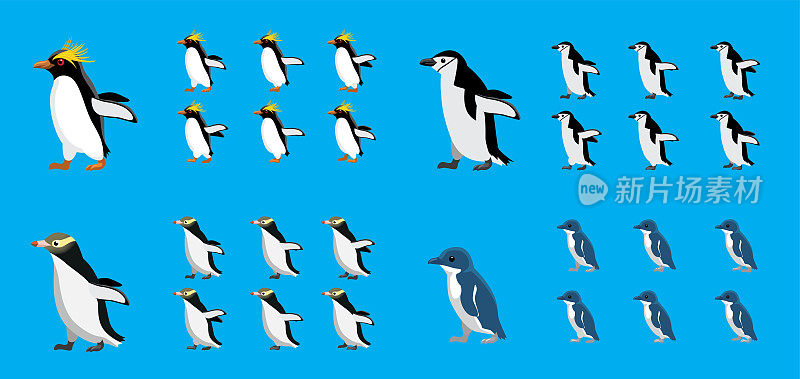 动物动画序列通心粉颏带黄色小企鹅卡通向量