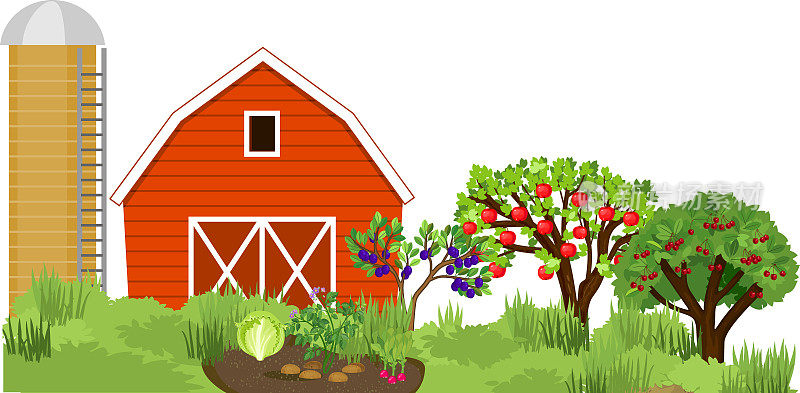 红色谷仓、筒仓塔、菜园、果园的乡村景观。收获的季节