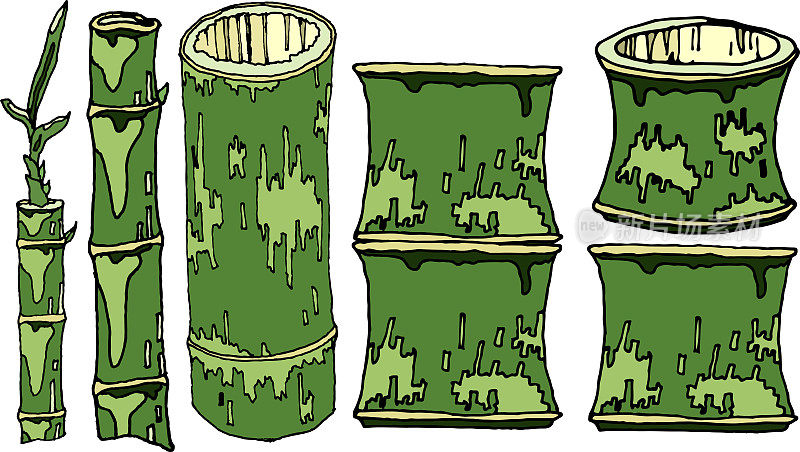 白色背景上的竹子插画。竹子，天然家养和野生植物，竹杯，随时可用，eps。为你设计