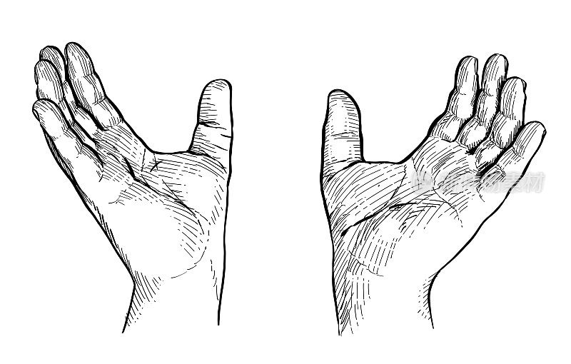 两只张开的手，由拇指连在一起，表示接受。手语，非语言交流。黑白矢量插图在白色背景