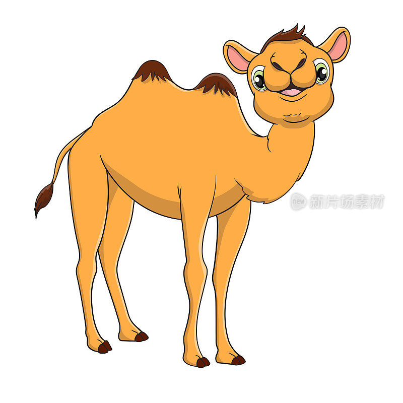 矢量插图可爱的骆驼卡通