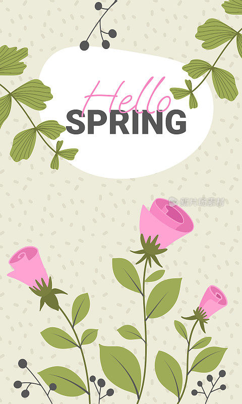 文字hello春天背景上的小树枝与绿叶和装饰性的花朵