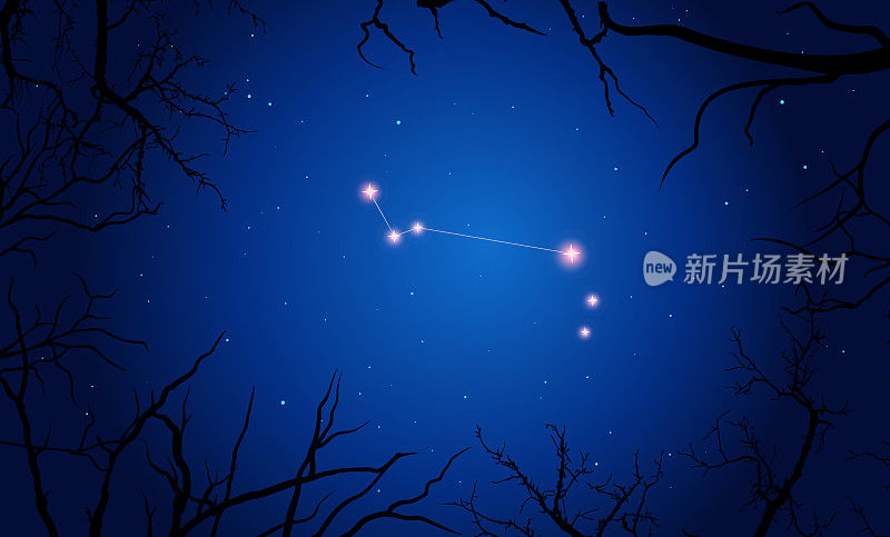 矢量插图Apus星座。明亮的星座在开阔的空间，蓝色的天空。