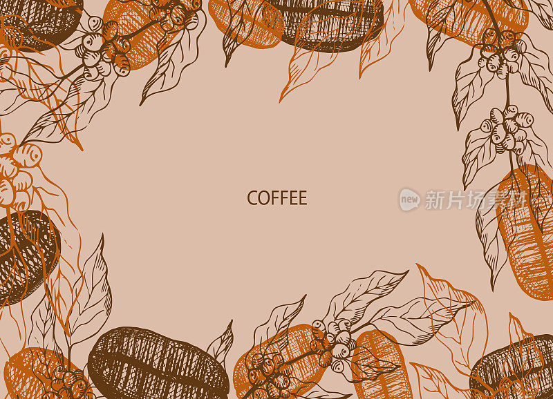 以咖啡豆和咖啡树为背景。插图的一套手绘咖啡豆在一个粗略的风格。咖啡的颜色。设计元素。用于文本，标签，横幅和标志。矢量图
