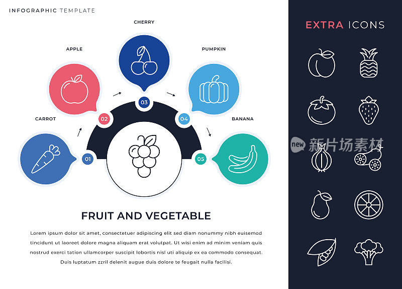 信息图模板和水果和蔬菜线图标集