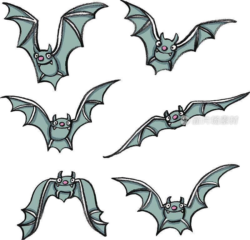 小的、臭的、蓝色的蝙蝠飞行的六个阶段