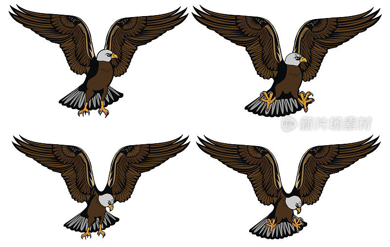 您的打印设计和互联网上的鹰的爪子和头的不同安排的图像。矢量插图。
