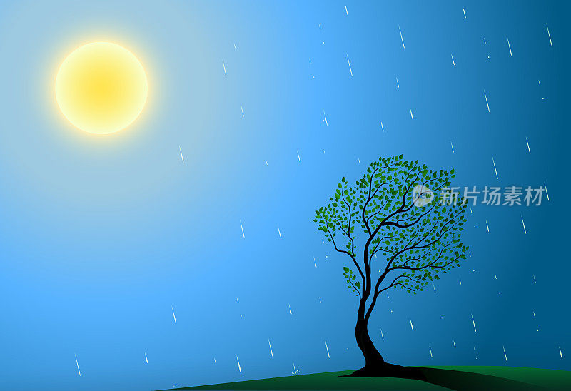太阳，树和雨，夏天温暖的雨，最好的地方种植树木，大太阳雨滴和绿色的树，