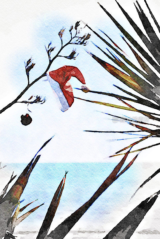 圣诞老人的帽子在Harakeke花的水彩插图
