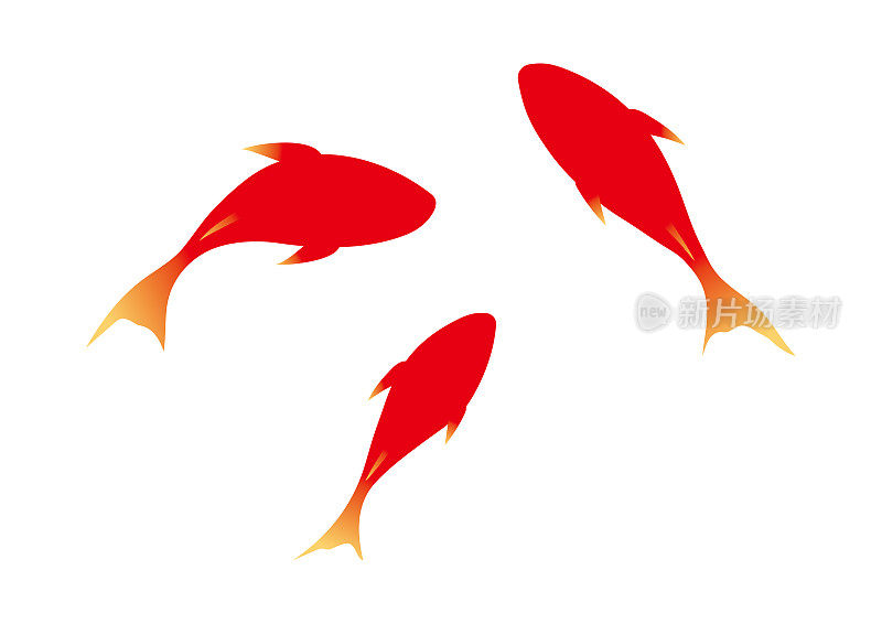 三个红色的金鱼
