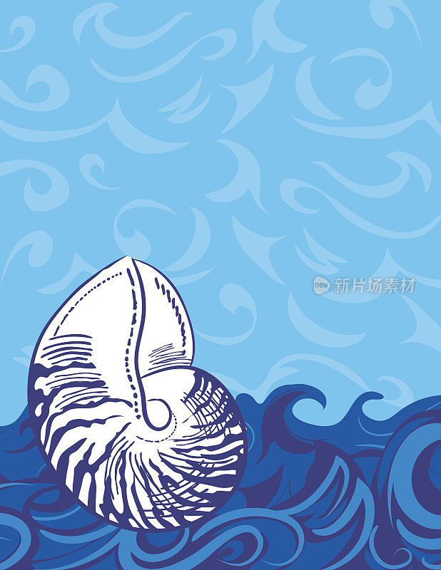 航海海洋背景模板与鹦鹉螺壳