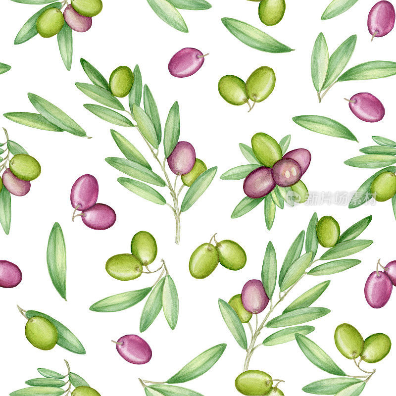 橄榄无缝图案与橄榄枝和水果的意大利菜设计或特级初榨油食品或化妆品包装包装。