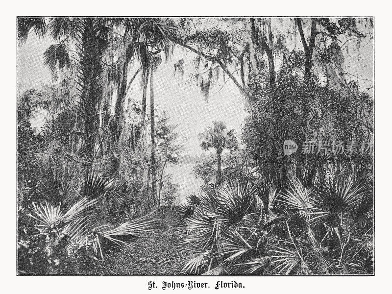 美国佛罗里达州圣约翰河，半色调印刷，1899年出版