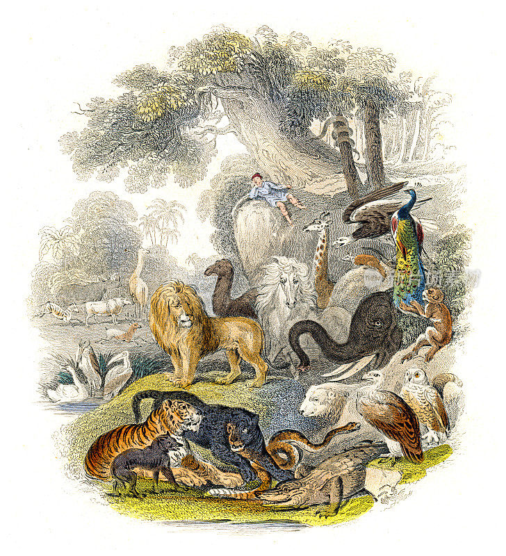 动物雕刻插图雕刻1840年