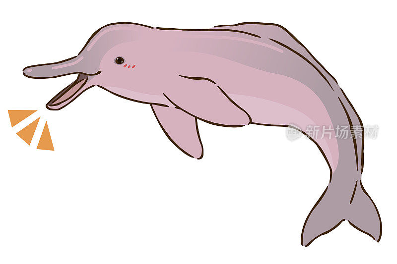 快乐的亚马逊河海豚
