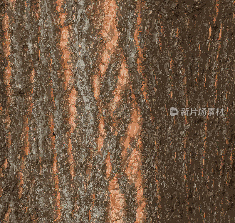 现实矢量插图的自然椴树树皮抽象背景。特写，绿色的真树皮，自然的纹理。林登树。