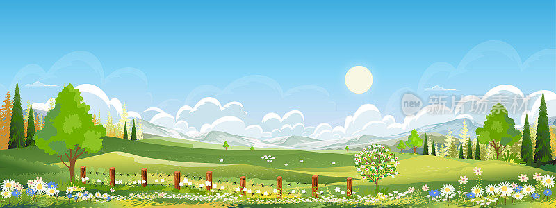 自然春天乡村农场景观与绿色田野与云，蓝天，矢量地平线自然乡村乡村与森林树木，山在阳光灿烂的日子，复活节卡通矢量，春天，夏天的旗帜